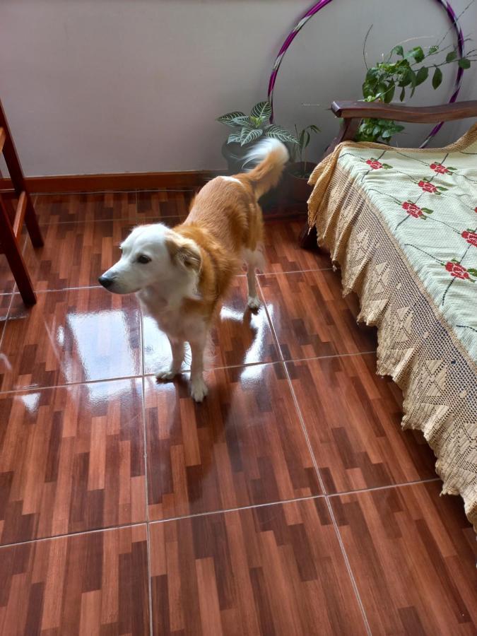 ניטרוי Quarto Individual Na Ary Parreiras מראה חיצוני תמונה